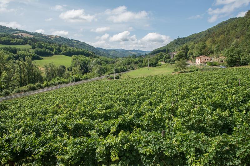 Agriturismo Pedrosola Brisighella Ngoại thất bức ảnh