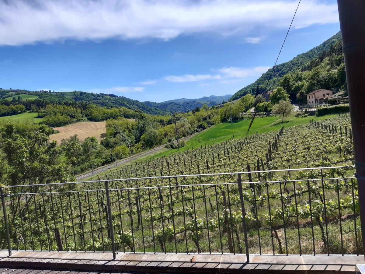 Agriturismo Pedrosola Brisighella Ngoại thất bức ảnh