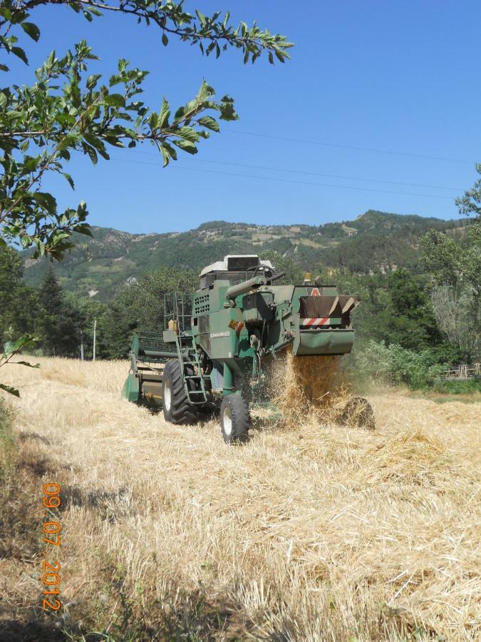 Agriturismo Pedrosola Brisighella Ngoại thất bức ảnh